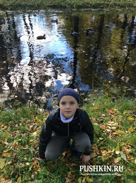 Максим Золотарев, 1а класс гимназия 406<br />
---------------------------------<br />
Поздравляю с днём рожденья <br />
Город милый и родной, <br />
Пушкин я горжусь тобой. <br />
Мне очень дороги твои дворцы и парки, <br />
Окутанные в обложка.<br />
И для меня нет лучшего подарка,<br />
Чем здесь расти, любить и жить всегда! <br />
---------------------------------