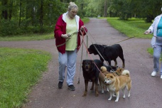 Марина<br />
Медсестра<br />
<br />
Меня волнует то, что скоро совсем негде будет гулять с собаками. Сейчас мы гуляем в Александровском парке, но хотят сделать платным вход в него и запретить пускать с животными. Куда пойдем, непонятно. Будем бродить по улицам города.