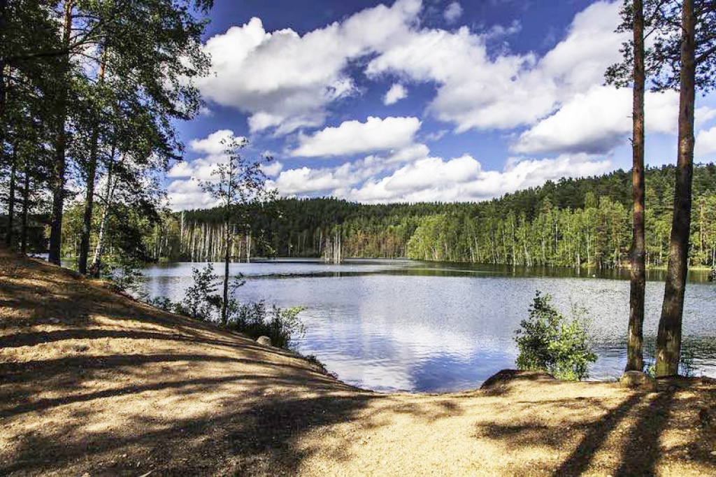 Развивающий лагерь «Ваганты»