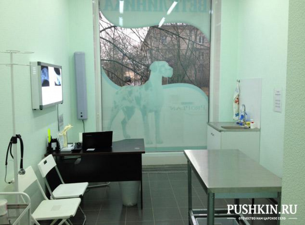 Пушкинская ветеринарная клиника и аптека «Перспектива-вет»