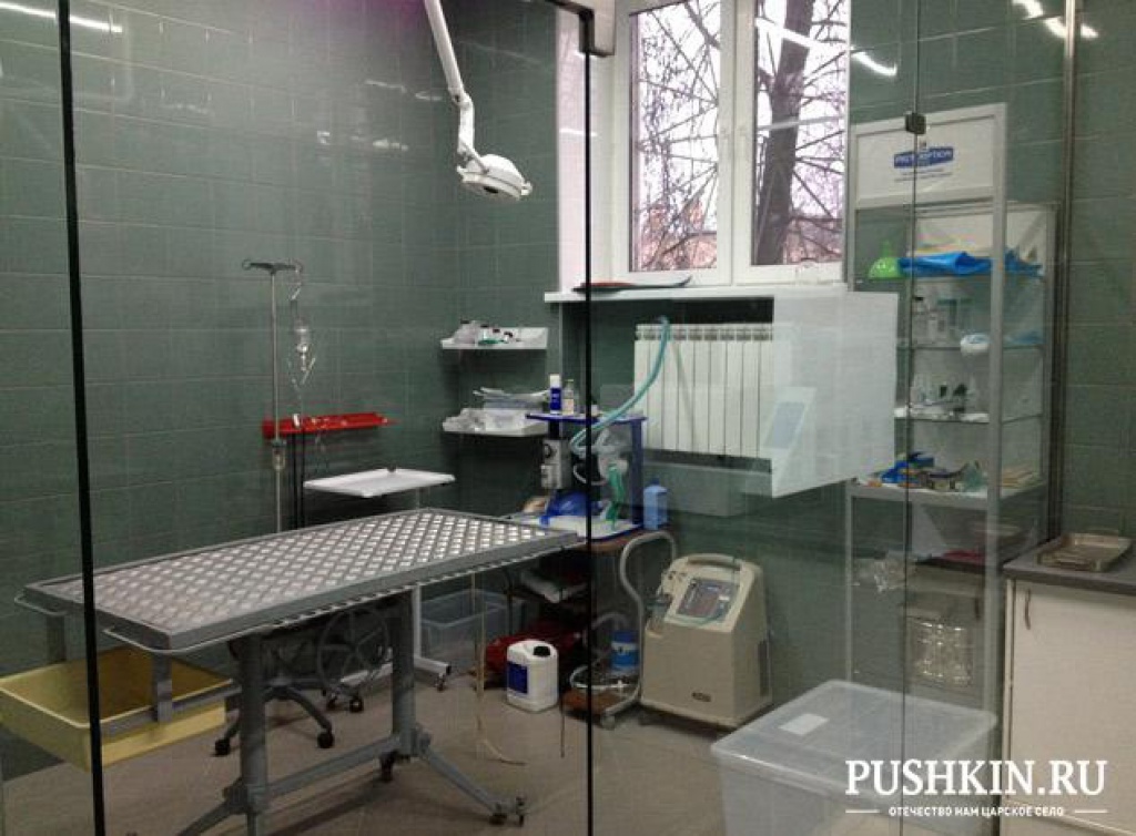 Пушкинская ветеринарная клиника и аптека «Перспектива-вет»