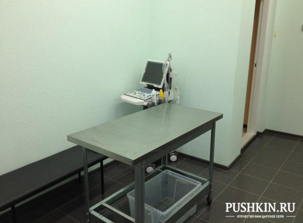 Пушкинская ветеринарная клиника и аптека «Перспектива-вет»