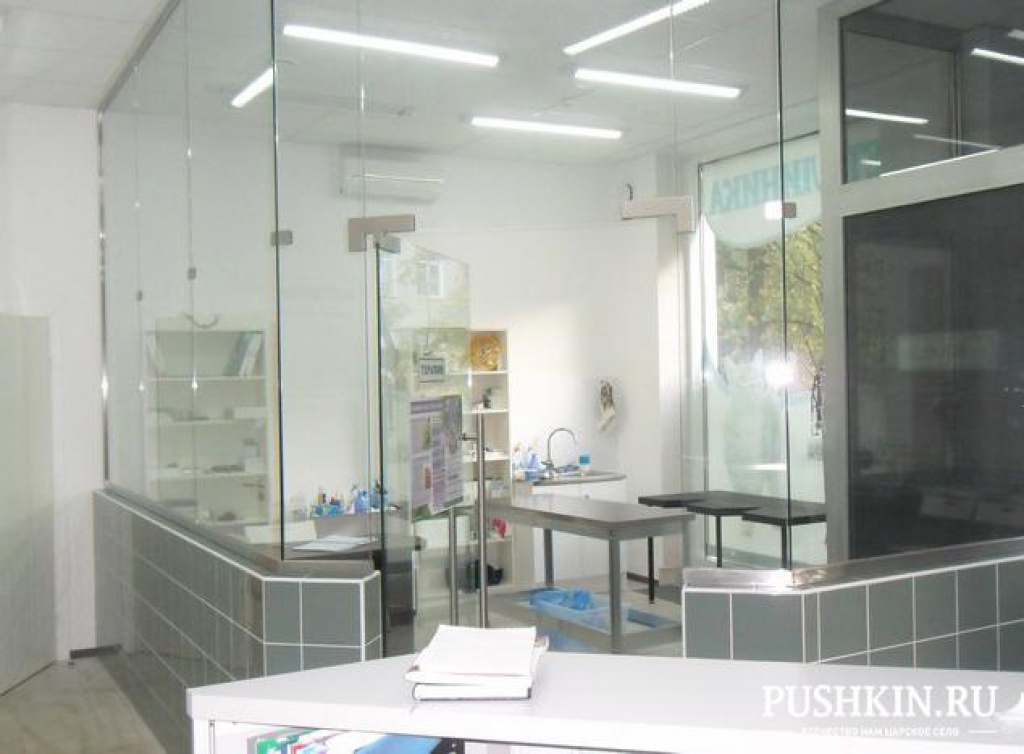 Пушкинская ветеринарная клиника и аптека «Перспектива-вет»