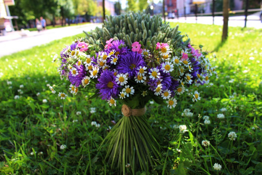 Магазин «Дом цветов и подарков»