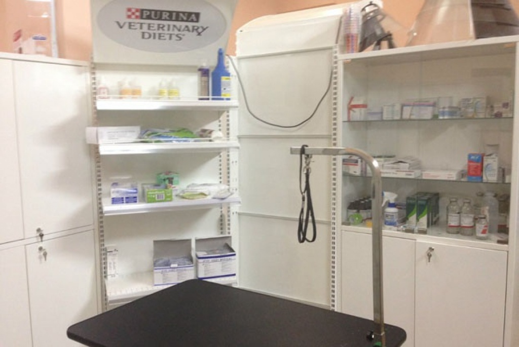 Ветеринарная клиника «АдельВет»