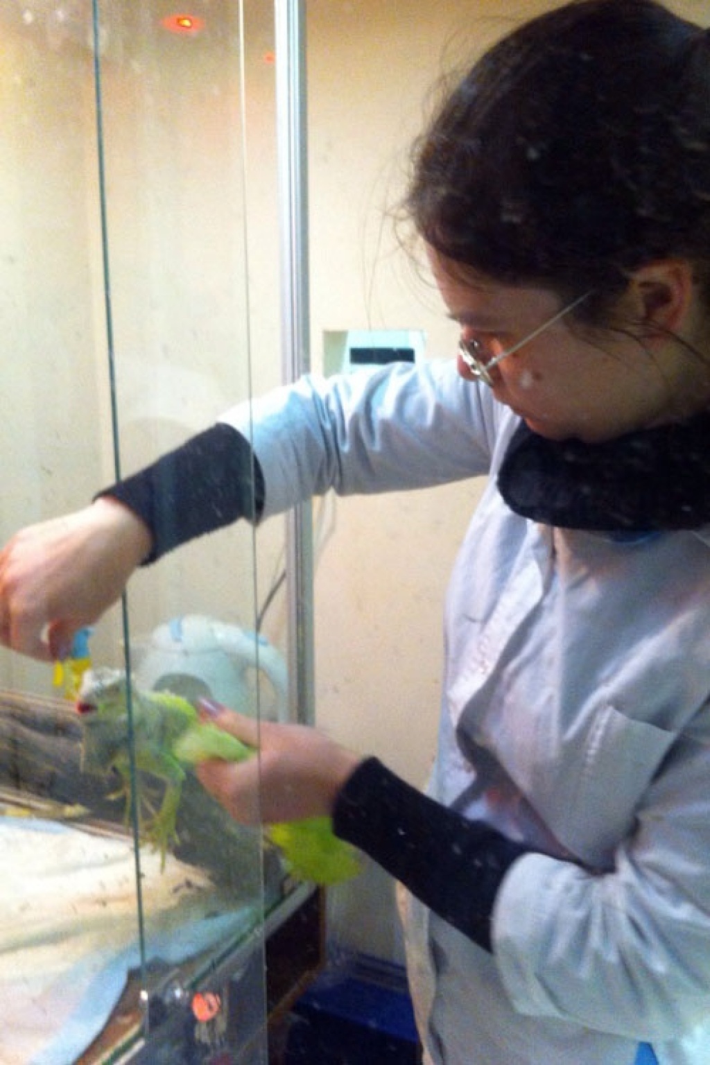 Ветеринарная клиника «АдельВет»