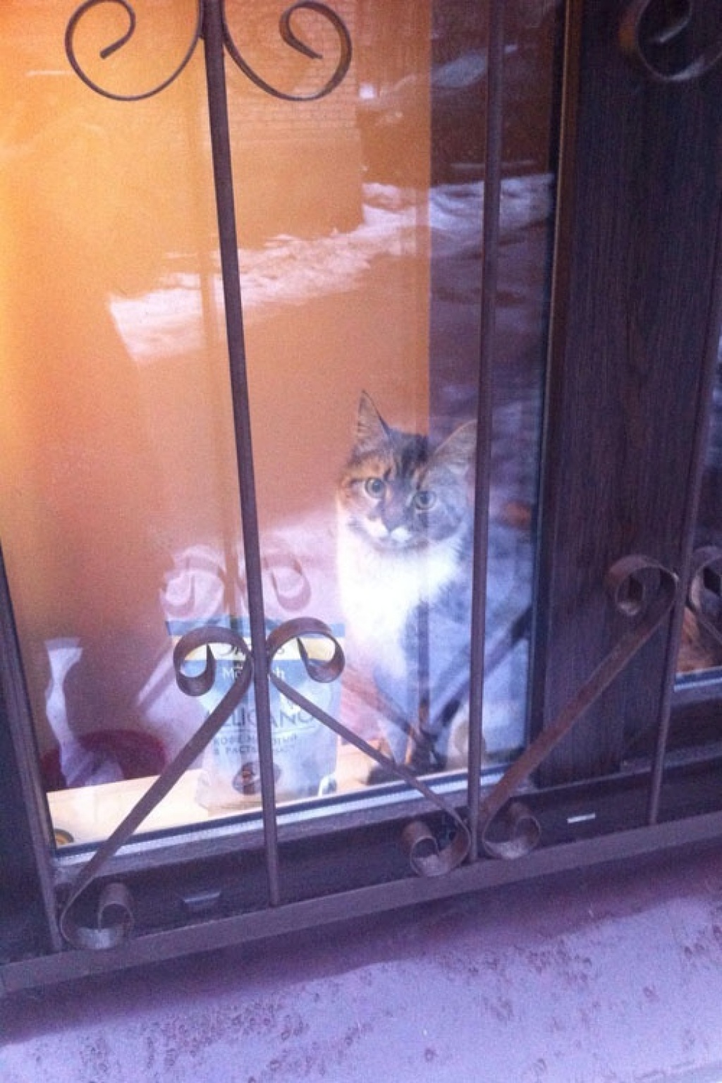 Ветеринарная клиника «АдельВет»