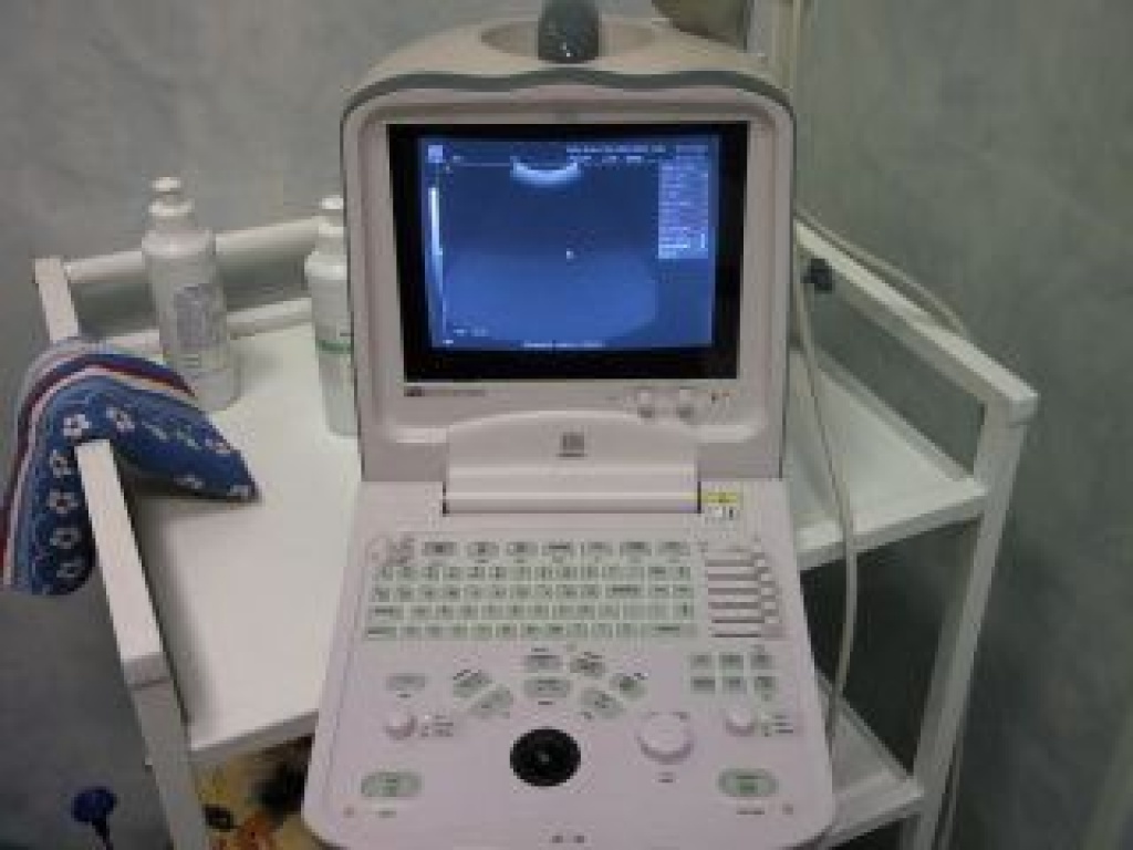 Ветеринарная клиника «АдельВет»