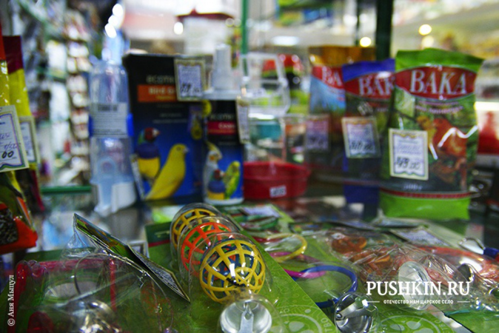 Магазин зоотоваров «Вилли»