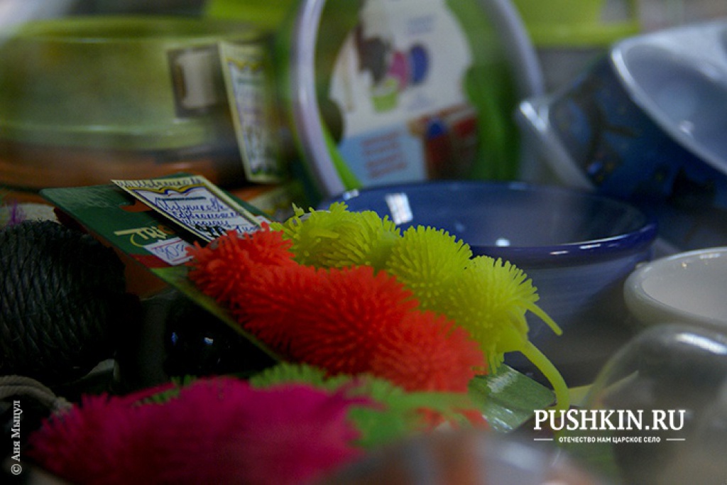 Магазин зоотоваров «Вилли»