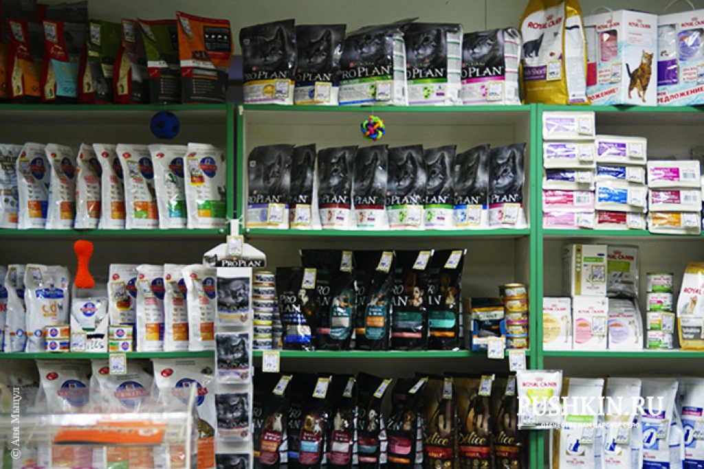 Магазин зоотоваров «Вилли»