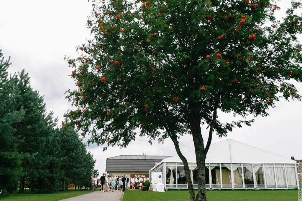 «Усадьба Кобрино»