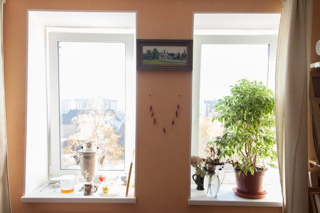 Студия живописи Нови