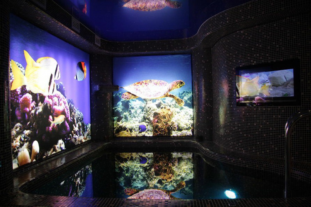 Сауна «Черепаха»