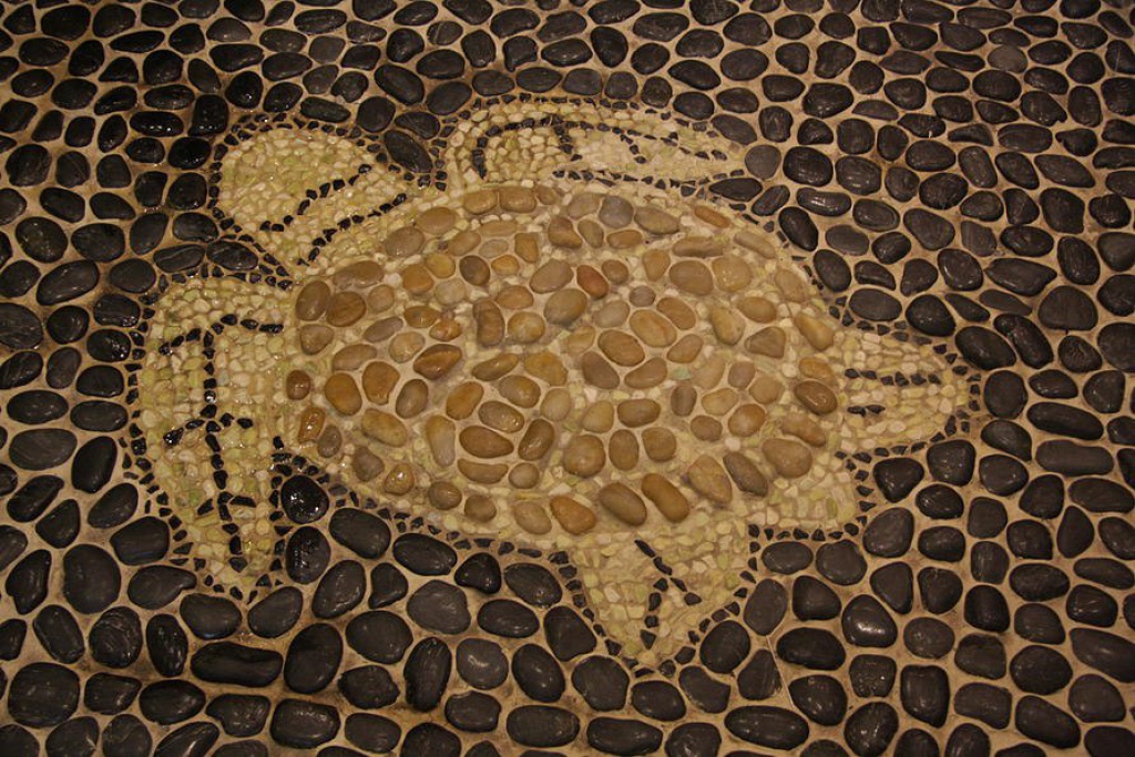 Сауна «Черепаха»