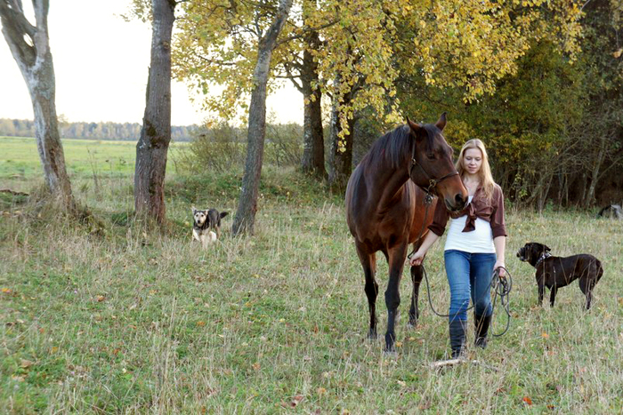 Лошадь Хакса, собака Зора и Таня