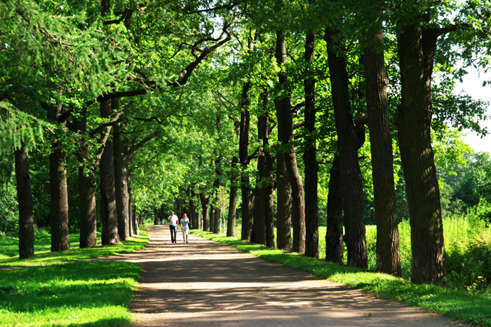 Парк города Пушкин