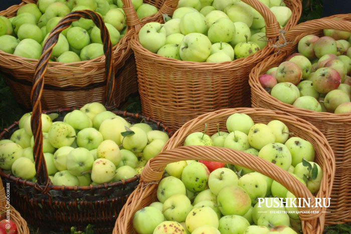 Яблочный урожай ГМЗ «Царское Село»