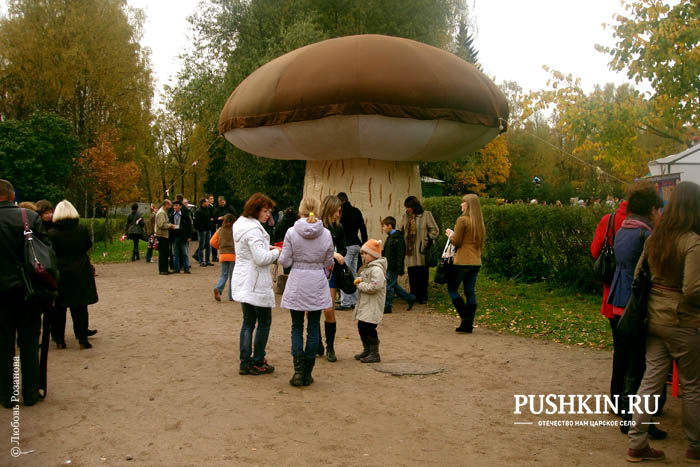 mushroomfest10oct11-01