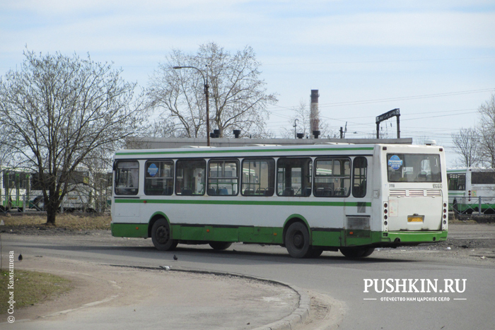 Автобусная остановка в Пушкине 