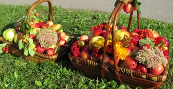 Семейный праздник «Яблочный полдень»